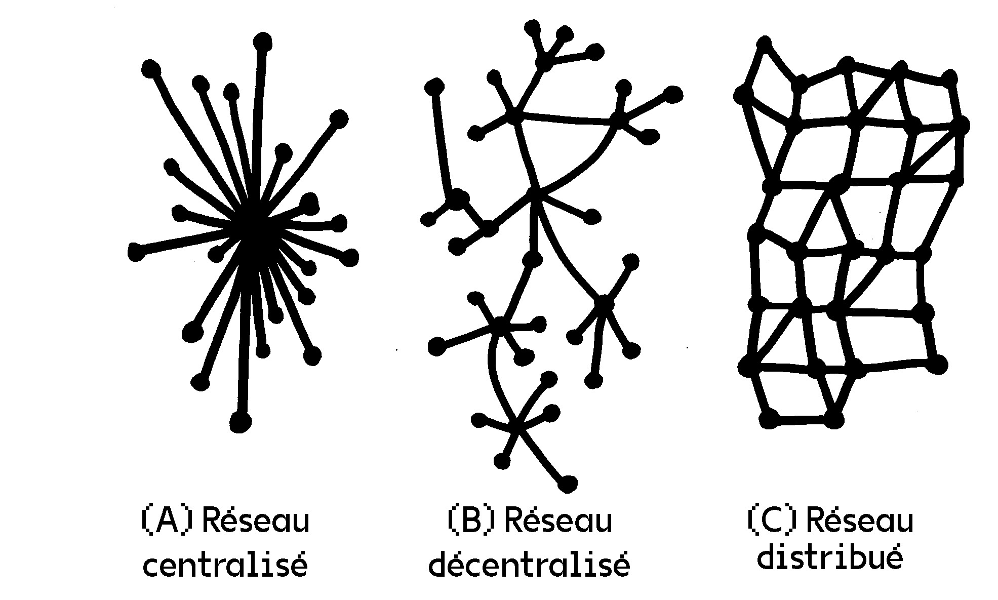 evolution-reseau.jpeg